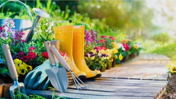 jardinage : comment colorer son jardin ?