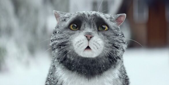 Mog’s Christmas Calamity : la pub de Noël 2015 Sainsbury