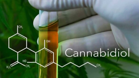 cannabidiol cbd
