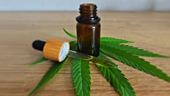 informations importantes cbd