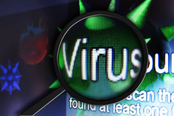 Virus