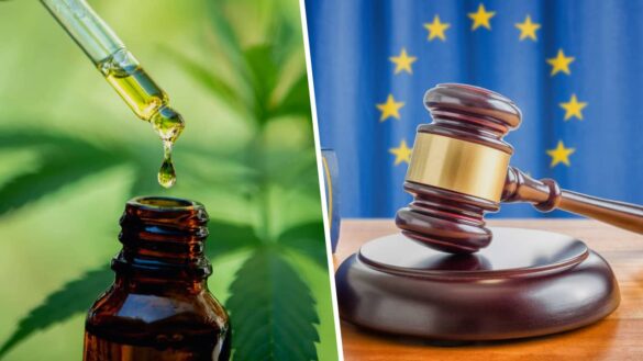 CBD : que signifie le nouveau règlement de l