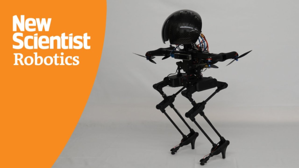 Le robot bipède Leonardo en image.