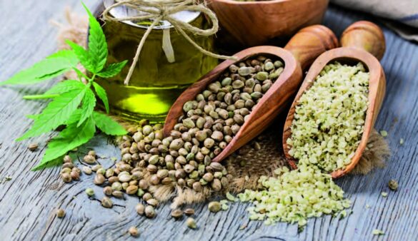 graine de chanvre : un super aliment bon pour la santé