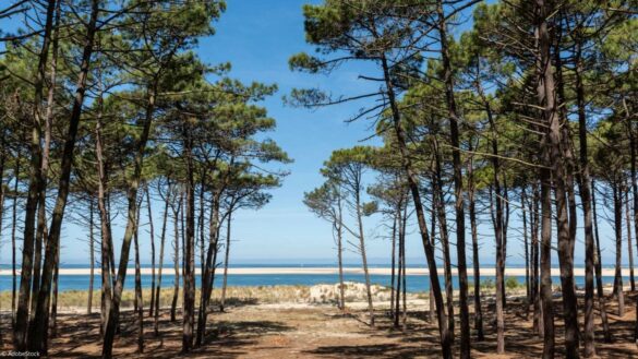 Vacances dans les Landes : top 10 des activités à faire