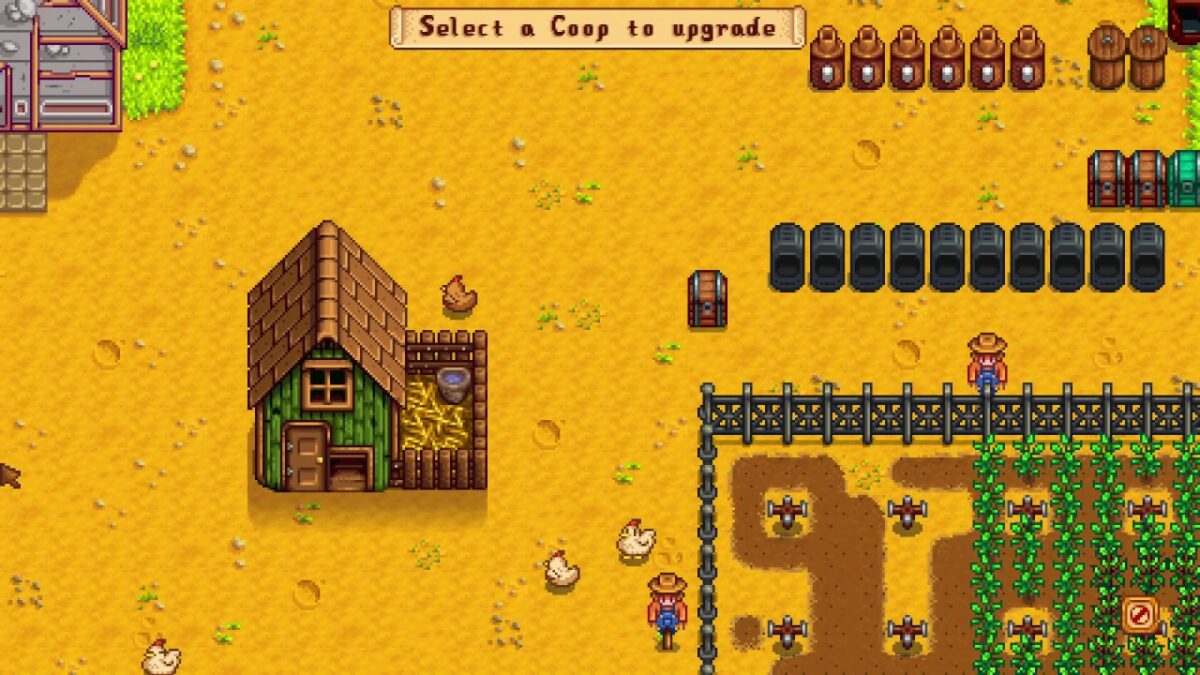 can-you-marry-coop-stardew-valley