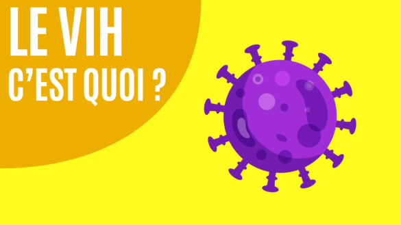 C'est quoi le format AI ?