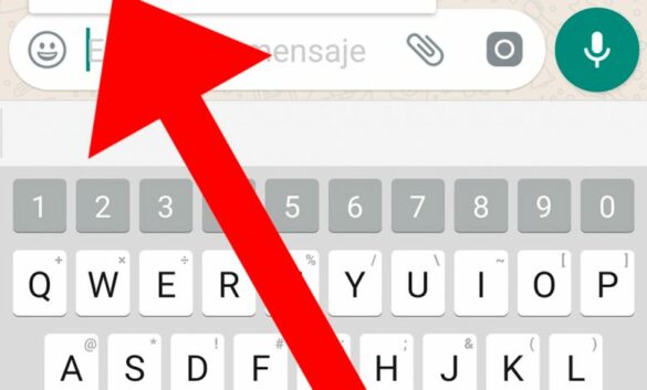 Comment Ecrire à WhatsApp ?