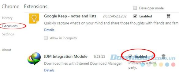 Comment activer Internet Download Manager sur Google Chrome ?