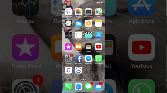 Comment afficher le niveau de batterie ?