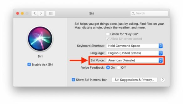Comment changer le nom de Siri sur Mac ?