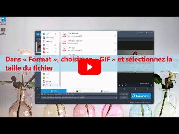 Comment convertir une vidéo en GIF ?