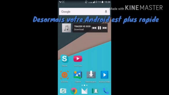 Comment désactiver le développeur ?