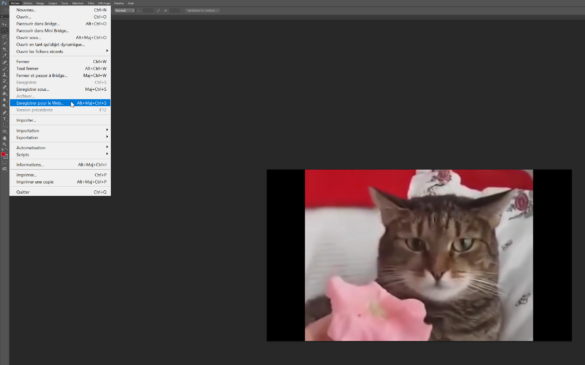 Comment enregistrer un GIF dans sa galerie ?