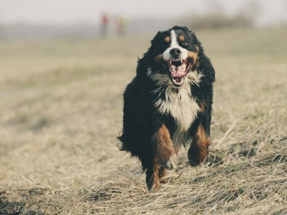Comment faire fonctionner le GPS ?