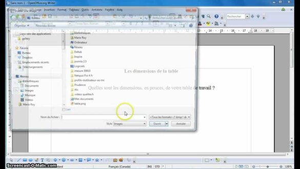 Comment faire une modification sur un fichier PDF ?