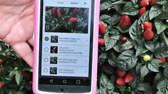 Comment identifier une photo ?