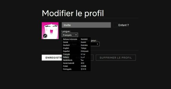 Comment mettre les films en français sur Plex ?