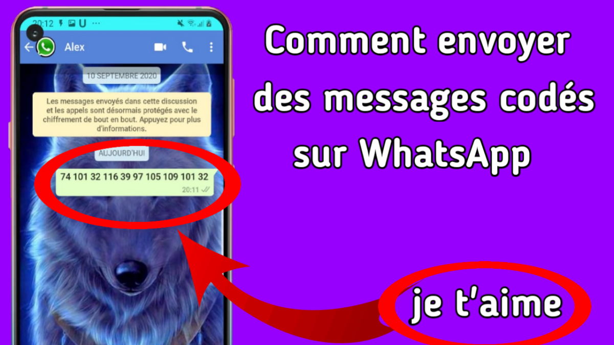 Comment mettre une coche sur WhatsApp ?