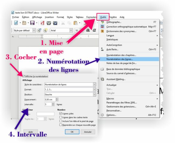 Comment numéroter les pages avec Libre Office ?
