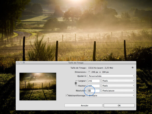 Comment partager des photos sans perdre la qualité ?