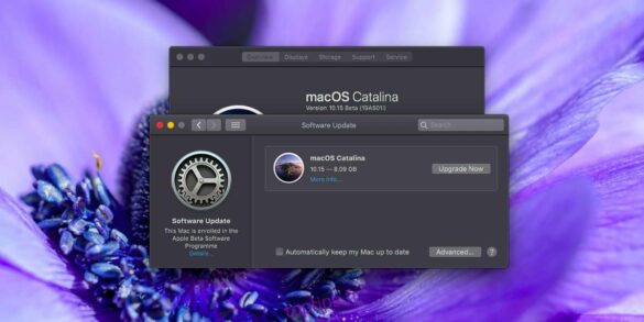 Comment passer de Windows à macOS ?