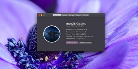 Comment passer de macOS Big Sur à Catalina ?