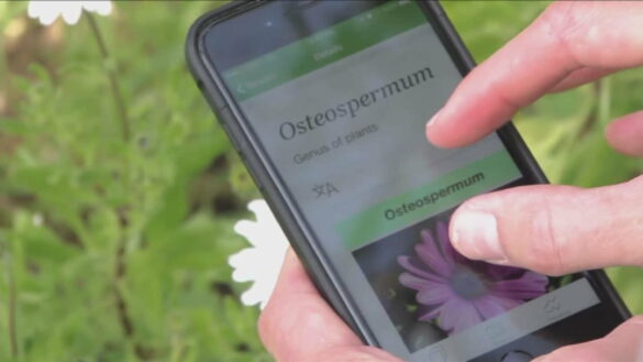 Comment reconnaître les applications inutiles ?