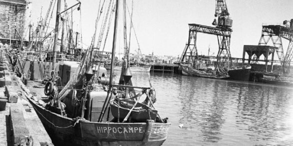 Comment retrouver d'anciennes photos ?