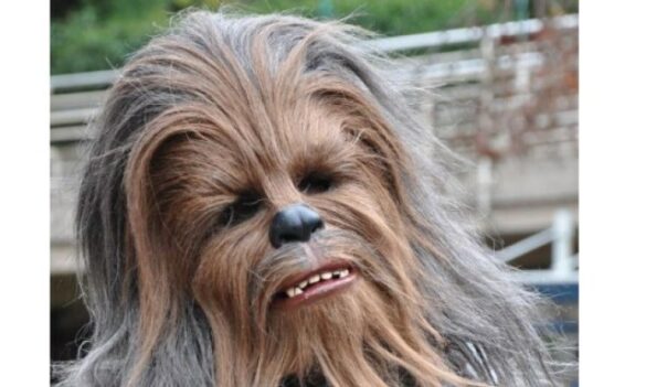 Comment s'appelle l'homme poilu dans Star Wars ?