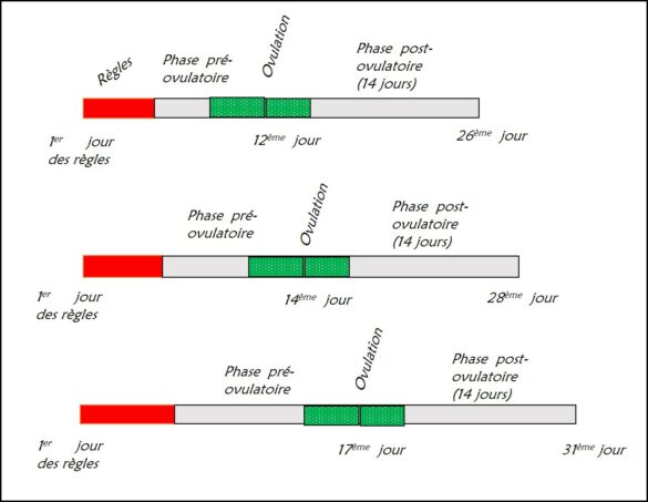 Comment savoir si on a un cycle de 21 ou 28 jours ?