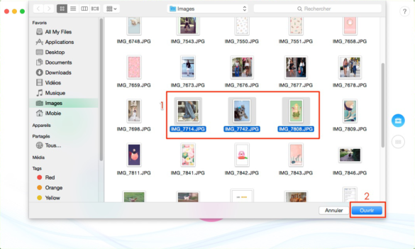 Comment sélectionner toutes les photos sur Amazon photos ?