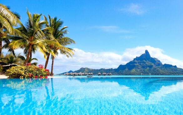 Comment télécharger un fond d'écran gratuit ?