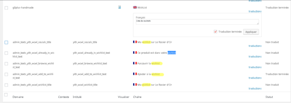 Comment traduire le terme geek en français ?