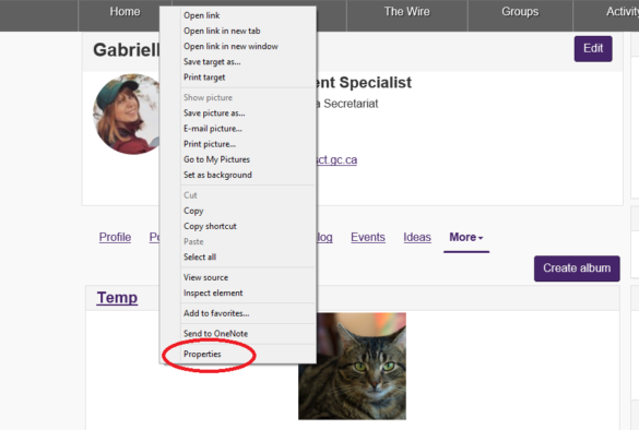 Comment trouver les propriétés d'une image ?