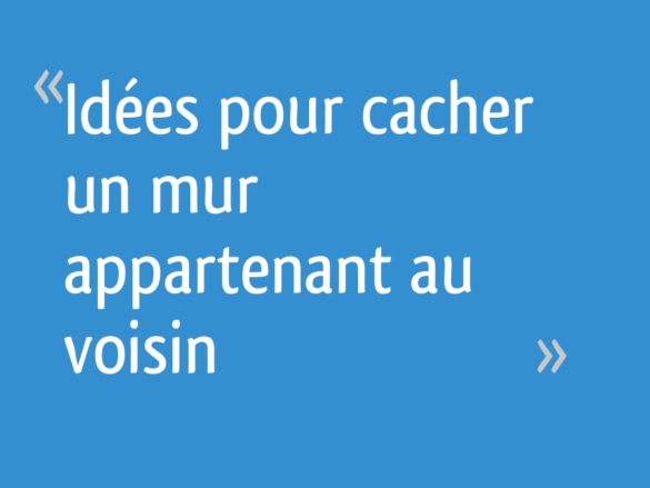 Comment voir un texte cacher ?