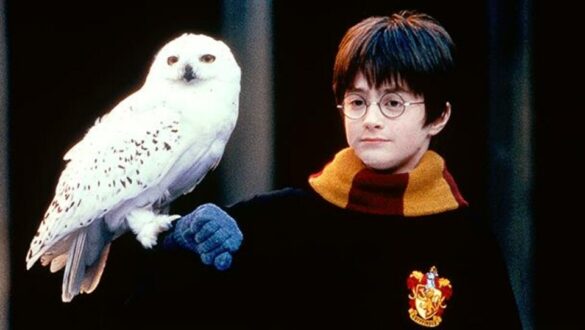 Est-ce que il y aura un Harry Potter 9 ?