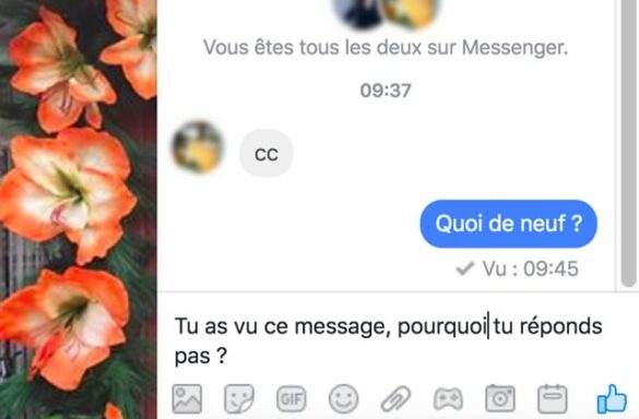 Est-ce que l'autre personne voit quand vous supprimer une conversation sur WhatsApp ?