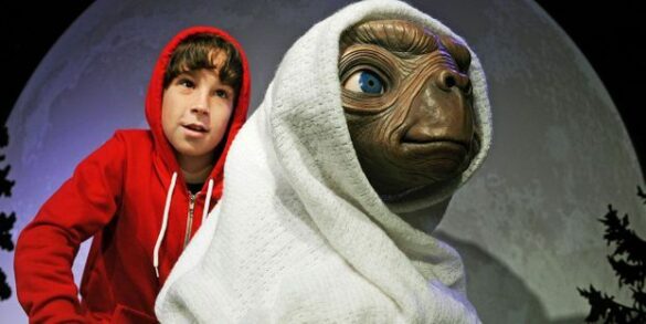 Est-ce que les Warren existe ?