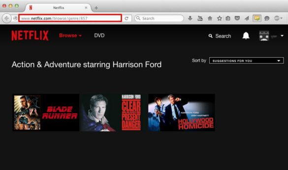 How do I get Netflix secret codes?