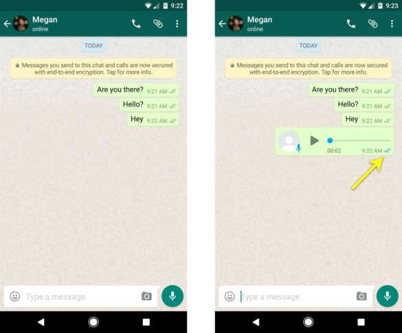 How do you tell if read receipts are off WhatsApp?