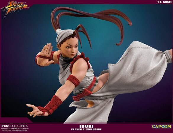 How old is Ibuki Street Fighter?