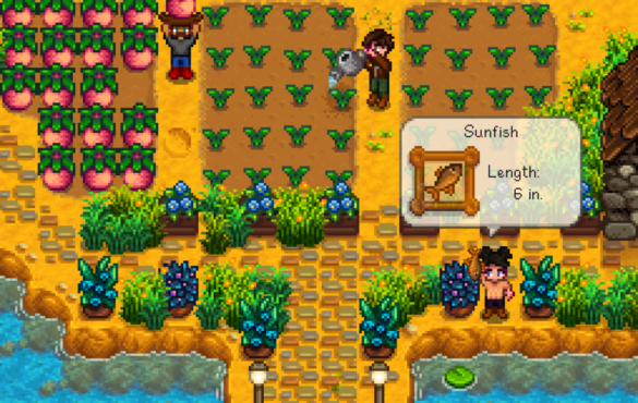 Is Stardew Valley multiplayer coop?