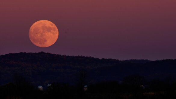 Où est la lune rose dans le ciel ?