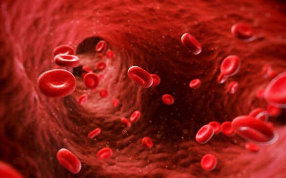 Où se trouve les images de fond d'écran ?