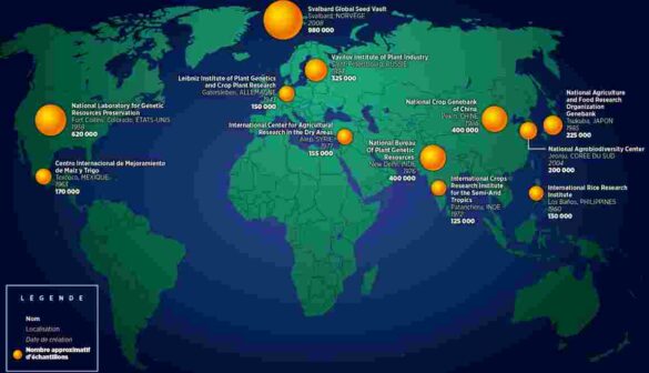 Où se trouvent les icônes ?