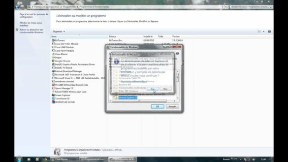 Pourquoi désinstaller Internet Explorer ?