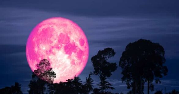Pourquoi la lune est rose ?