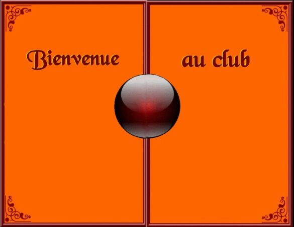 Pourquoi les GIF ne fonctionne pas sur WhatsApp ?