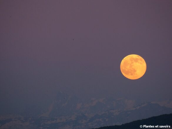 Pourquoi lune rose ce soir ?